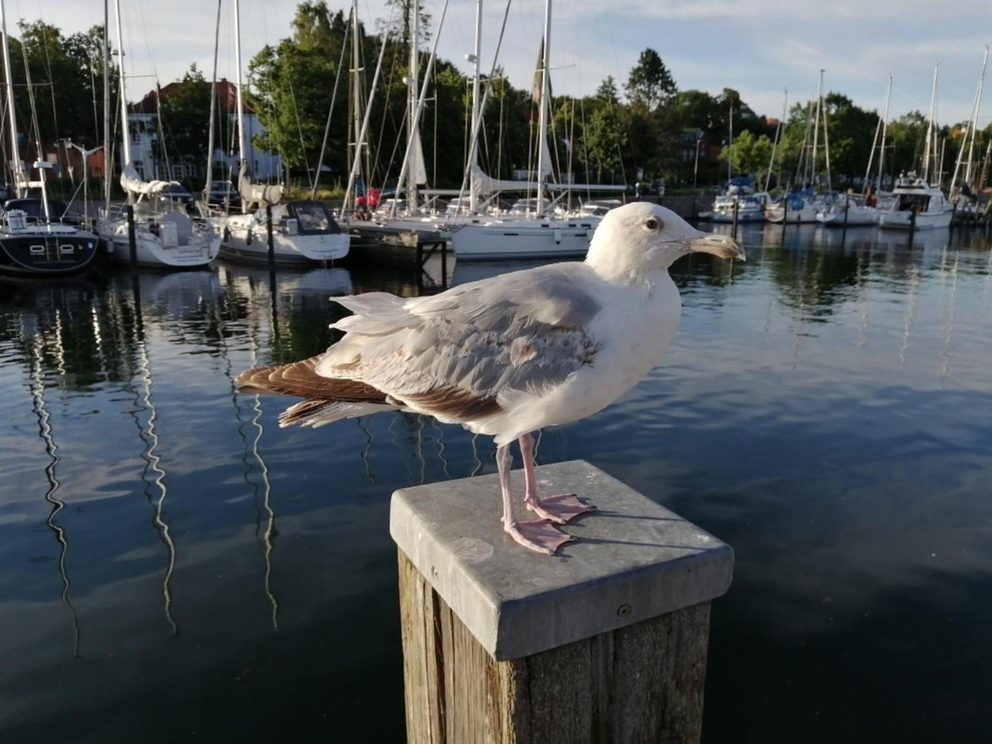 Apartmán Borby-Haus Eckernförde Exteriér fotografie